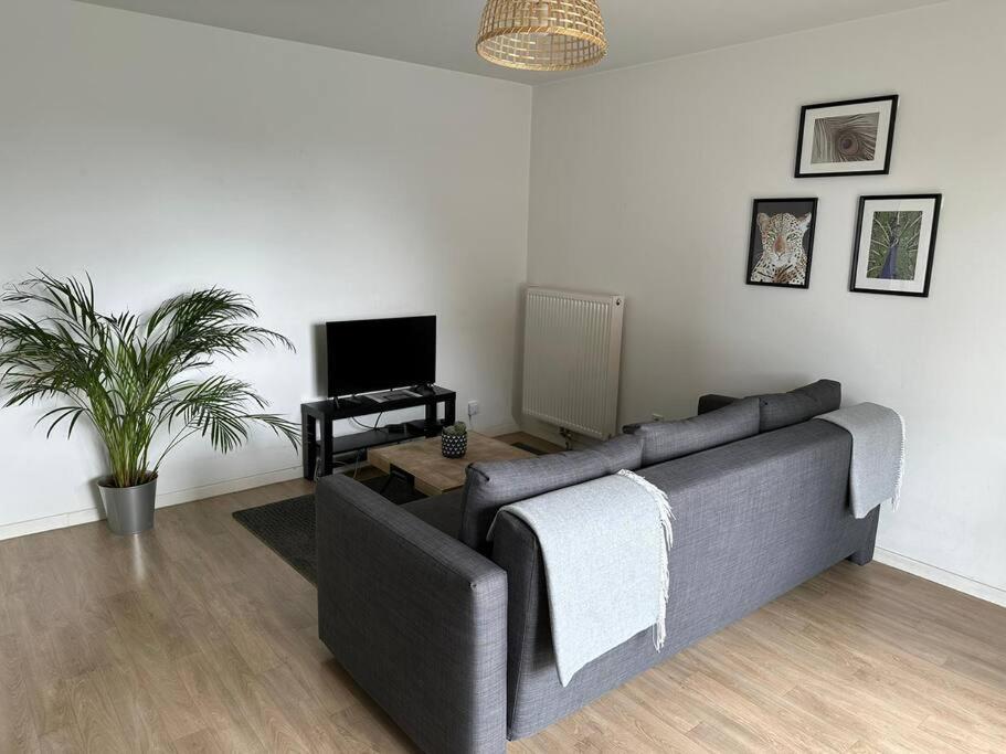Appartement Proche Chu Avec Balcon Et Parking ลีลล์ ภายนอก รูปภาพ